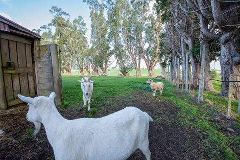 Photo of property in 791 Wyndham Letterbox Road, Glenham, Wyndham, 9891