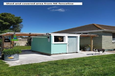 Photo of property in 312 Kotuku Street, Camberley, Hastings, 4120