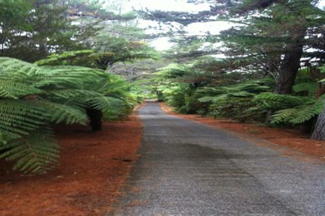 Photo of property in 135 Pumpkin Hill Road, Pumpkin Hill, Whitianga, 3591