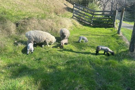 Photo of property in 11 Kaimata Road, Bay View, Napier, 4182