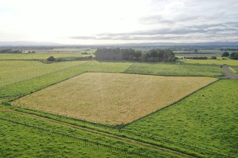 Photo of property in 8 Gill Lane, Rongotea, 4476