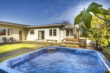Photo of property in 395 Ruahine Street, Terrace End, Palmerston North, 4410
