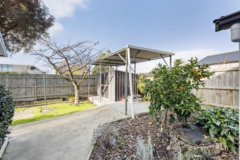 Photo of property in 239 Victoria Avenue, Hokowhitu, Palmerston North, 4410