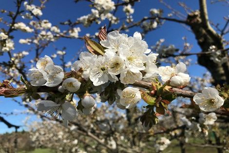 Photo of property in 190 Airport Road, Alexandra, 9391