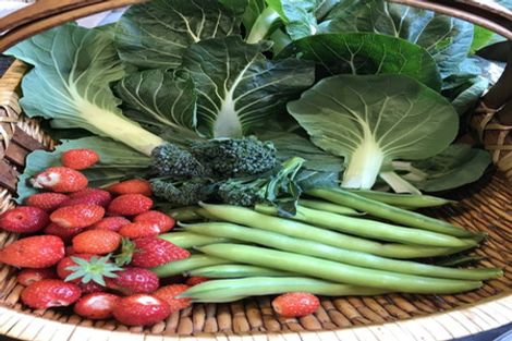 Photo of property in 8 Ocean View Terrace, Sumner, Christchurch, 8081