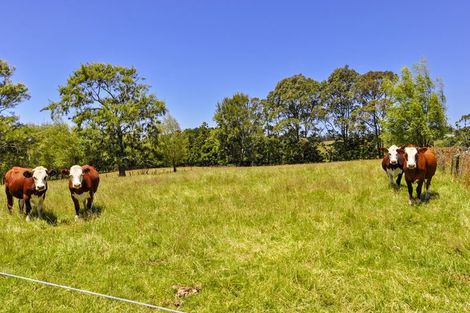 Photo of property in 47 Puke Road, Kumeu, 0891