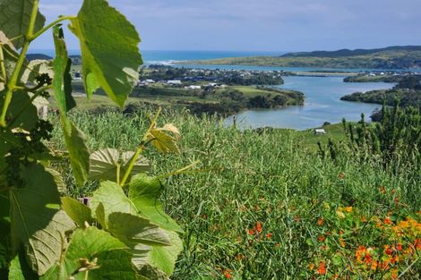 Photo of property in 132 Maungatawhiri Road, Raglan, 3295
