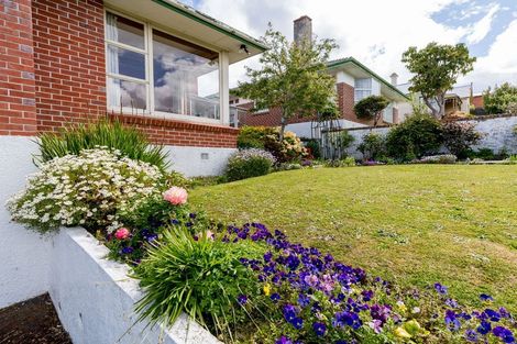 Photo of property in 61 Beresford Street, Wakari, Dunedin, 9010