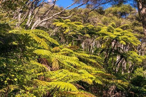 Photo of property in Kenepuru Road, Portage, Marlborough Sounds, 7282