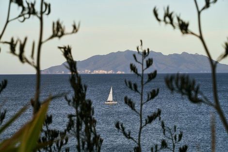 Photo of property in 245 Matakana Road, Warkworth, 0985