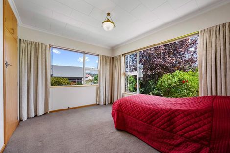 Photo of property in 111a Tarbert Street, Alexandra, 9320