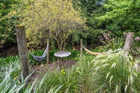 Photo of property in 51 Greenwood Road, Havelock North, 4130