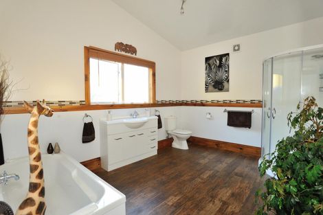 Photo of property in 351 Matokitoki Valley Road, Matokitoki, Gisborne, 4071