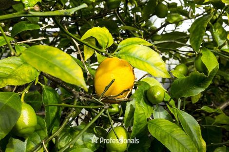 Photo of property in 55 Norana Road, Timberlea, Upper Hutt, 5018