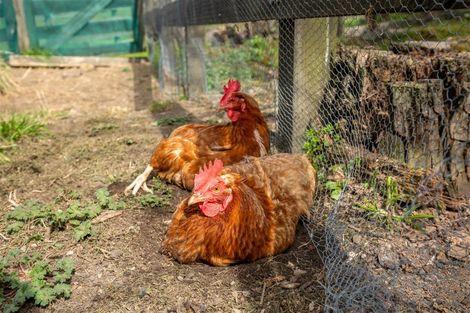 Photo of property in 69 Quail Valley Road, Belgrove, Wakefield, 7095