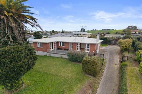 Photo of property in 22 Reservoir Street, Putaruru, 3411