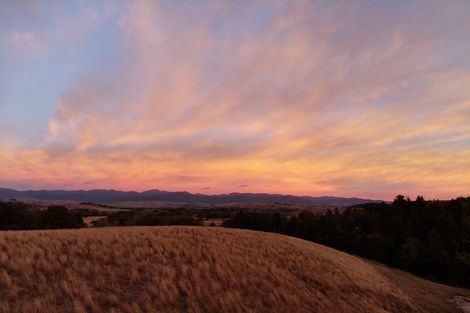 Photo of property in 490 Bluff Rangitumau Road, Rangitumau, Masterton, 5871
