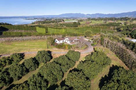 Photo of property in 263 Kauri Point Road, Tahawai, Katikati, 3170