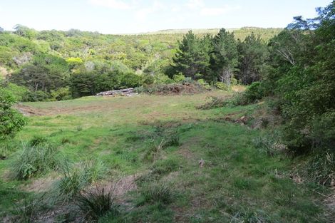 Photo of property in 154 Wood Road, Colville, Coromandel, 3584