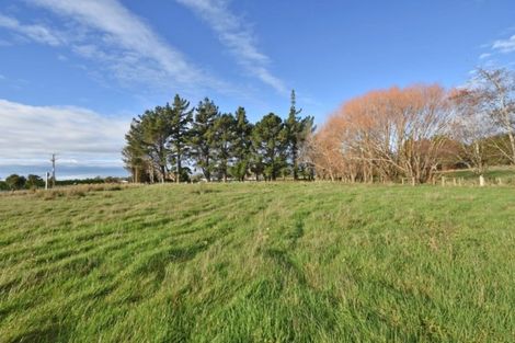 Photo of property in 275 Drysdale Road, Myross Bush, Invercargill, 9872