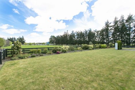 Photo of property in 39 Hinds Highway, Tinwald, Ashburton, 7775