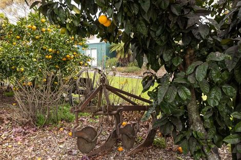 Photo of property in 17 Havelock Street, Renwick, 7204