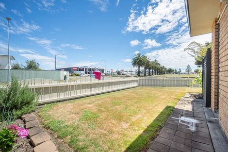Photo of property in 1 Richmond Avenue, Takaro, Palmerston North, 4410
