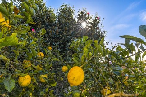 Photo of property in 54 Rayner Road, Huntly, 3700