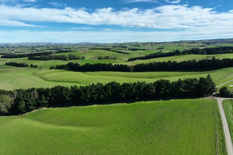 Photo of property in 1446a Clydevale Road, Clydevale, 9274