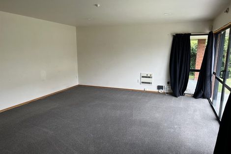 Photo of property in 162 Peverel Street, Riccarton, Christchurch, 8041