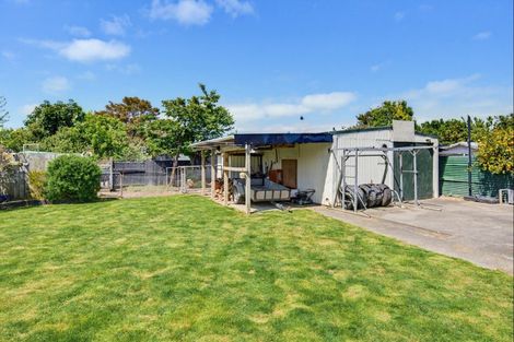 Photo of property in 3 Armagh Street, Levin, 5510