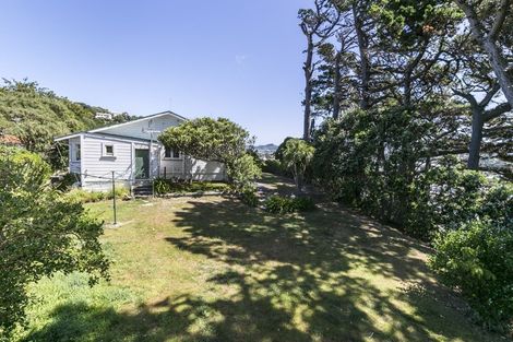 Photo of property in 31 Awa Road, Miramar, Wellington, 6022