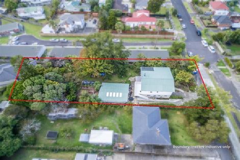 Photo of property in 21 Karaka Street, New Lynn, Auckland, 0600