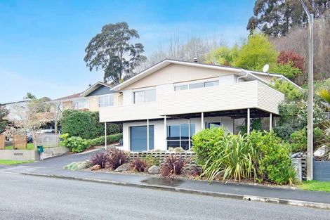 Photo of property in 49 Marlborough Crescent, Richmond, 7020