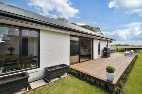 Photo of property in 29 Crossley Avenue, Woodend, 7610