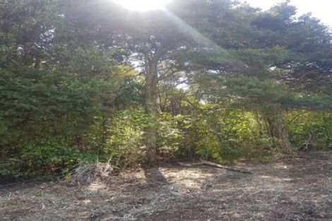 Photo of property in 306 Maunu Road, Horahora, Whangarei, 0110