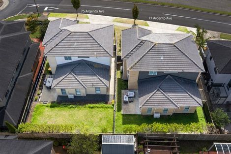 Photo of property in 75 Argento Avenue, Flat Bush, Auckland, 2019