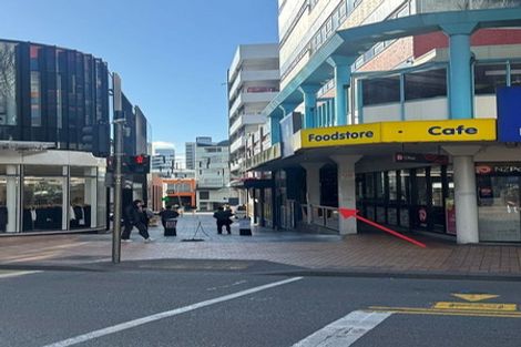 Photo of property in Regency Apartments, 2b/49 Manners Street, Te Aro, Wellington, 6011