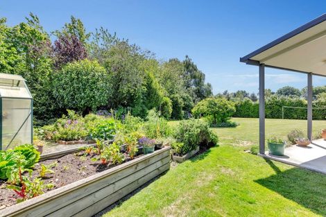 Photo of property in 15 Brook Street, Southbridge, 7602