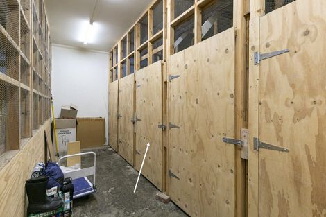 Photo of property in Tennyson Apartments, 14/25 Tennyson Street, Te Aro, Wellington, 6011