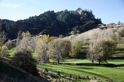 Photo of property in 4195 Masterton Castlepoint Road, Tinui, Masterton, 5889