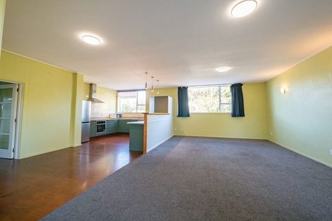Photo of property in 333 Highgate, Roslyn, Dunedin, 9010
