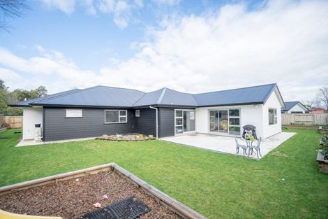 Photo of property in 6 Waimarama Court, Roslyn, Palmerston North, 4414