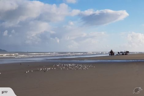 Photo of property in Ocean Apartments, 44 Marine Parade, Paraparaumu Beach, Paraparaumu, 5032