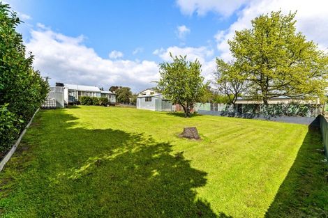 Photo of property in 56 Norwich Street, Hampden, 9410