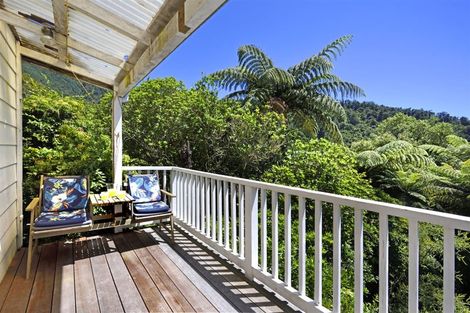 Photo of property in 20 Nikau Street, Duncan Bay, Rai Valley, 7195