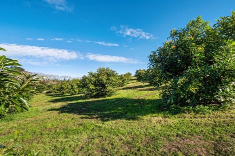 Photo of property in 495a Crawford Road, Minden, Tauranga, 3171