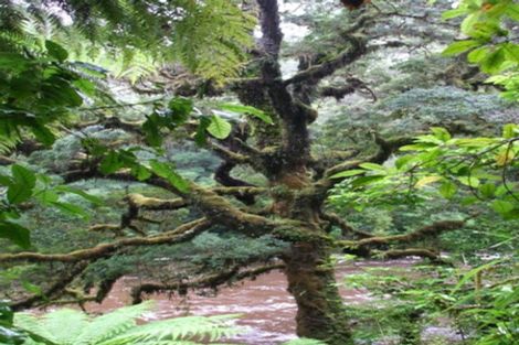 Photo of property in 61 Glasseye Drive, Little Wanganui, Karamea, 7893