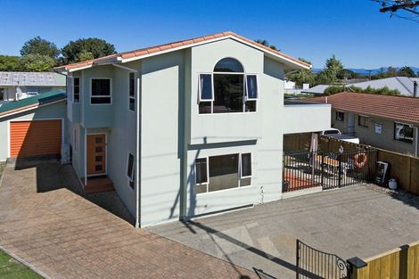 Photo of property in 41 William Street, Richmond, 7020