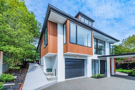 Photo of property in 19 Glamis Place, Cashmere, Christchurch, 8022